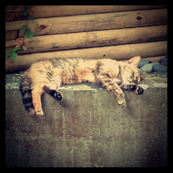 Meet your Posher, Marc - Picture 1 of 1